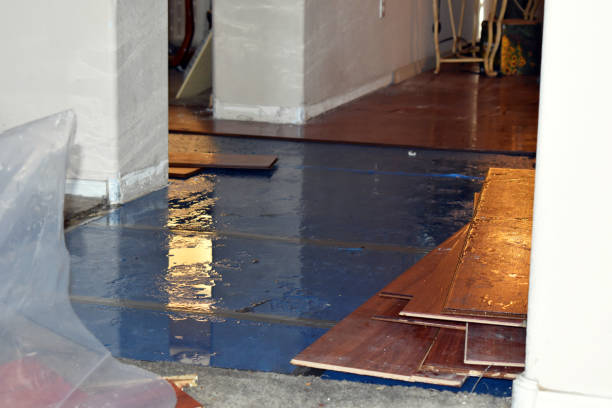 Professional Burst Pipe Cleanup technician working in Brookline, MA
